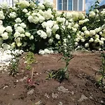 къща христини 게스트하우스 3*