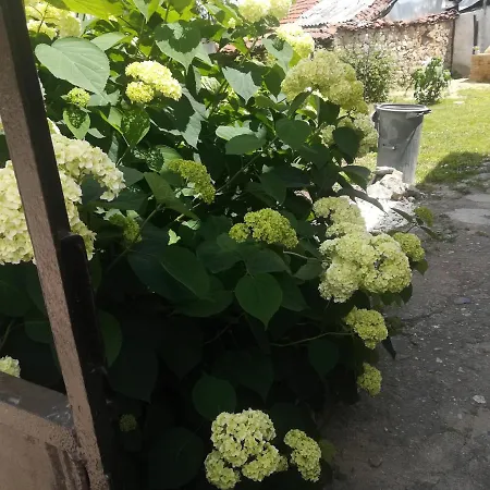 къща христини קלופר