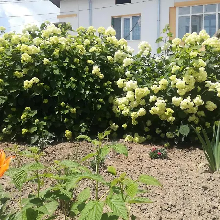 къща христини Kalofer