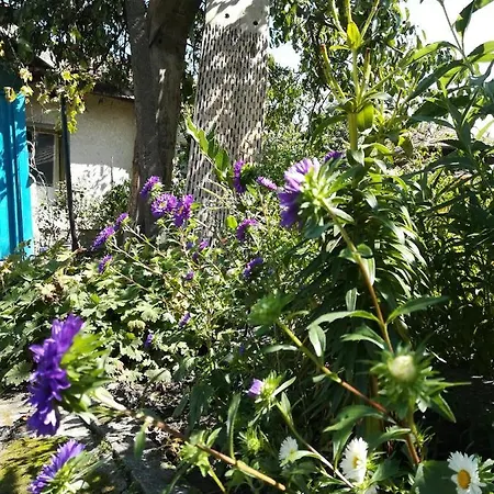 къща христини 3* קלופר