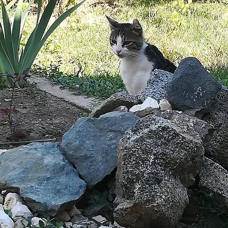 къща христини 3*