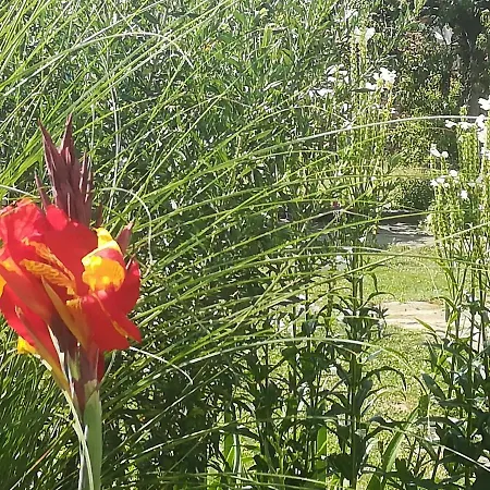 къща христини