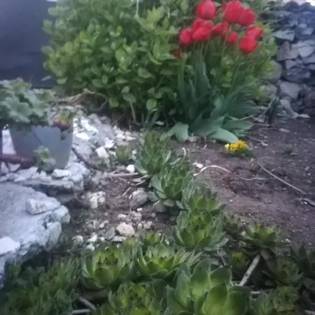 къща христини Pensionat