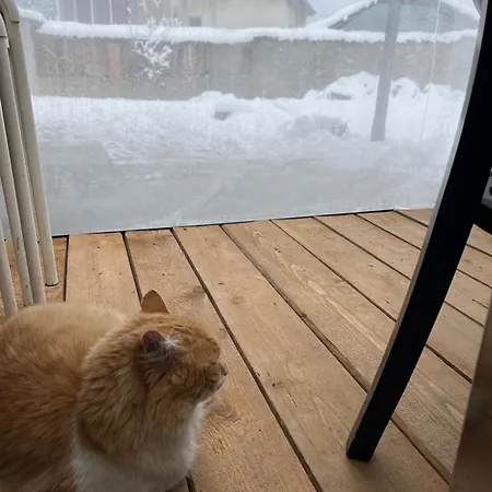 къща христини