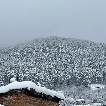 Casa de hóspedes къща христини