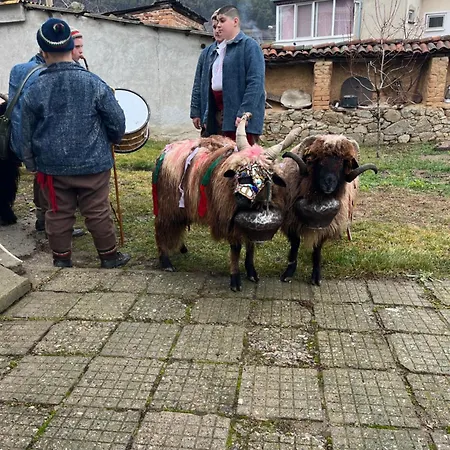 къща христини 招待所 卡洛费尔