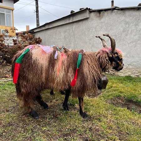 къща христини 3* Kalofer