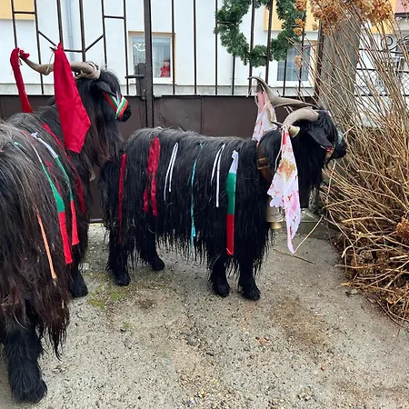 Pensionat къща христини