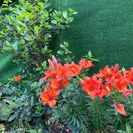 Pensionat къща христини 3*