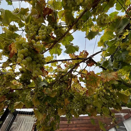 къща христини בית הארחה