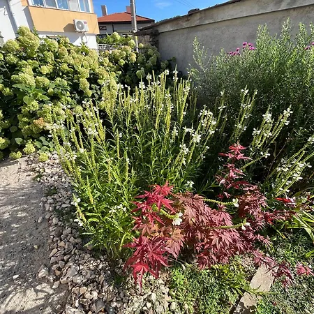 къща христини Pensionat 3*