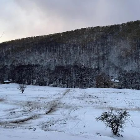 къща христини