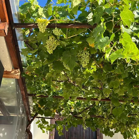 къща христини בית הארחה 3*