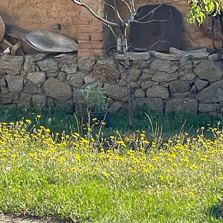 къща христини קלופר