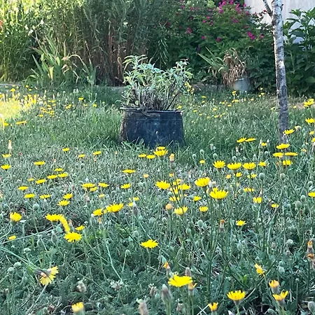 בית הארחה къща христини קלופר