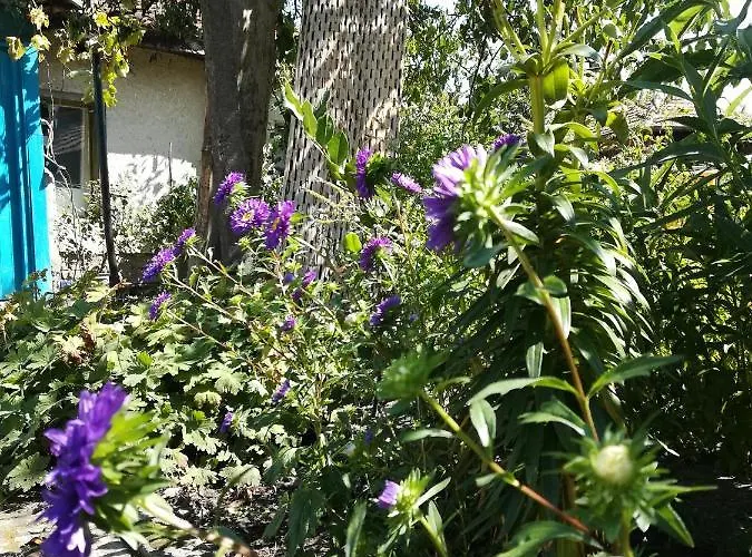 къща христини 3* Kalofer