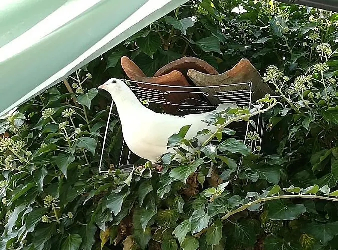 къща христини 3* Kalofer