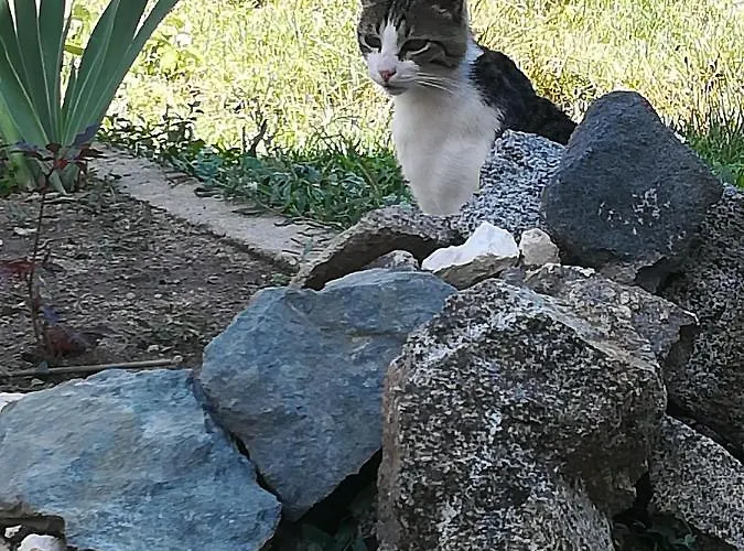 къща христини 3*