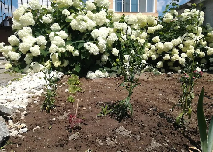 къща христини 게스트하우스 3*