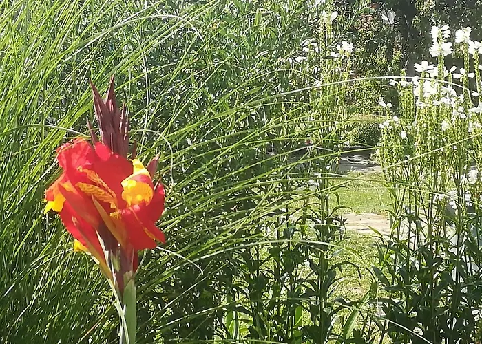 къща христини