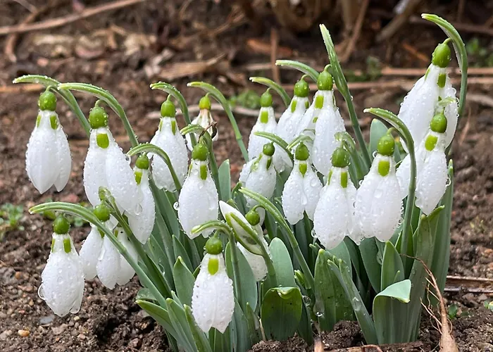 къща христини Guest house 3*