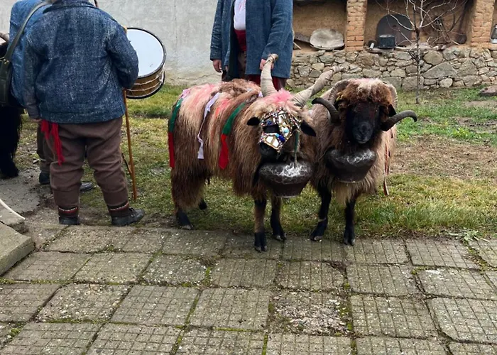 къща христини Guest house Kalofer