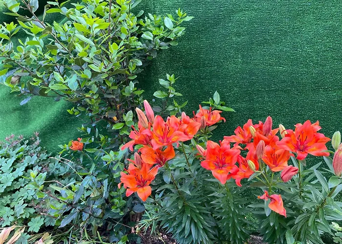 Guest house къща христини 3*