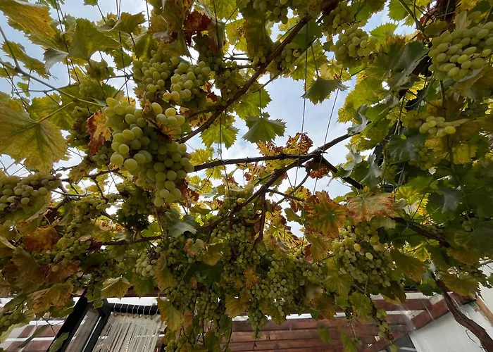 къща христини Guest house