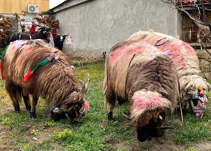 къща христини Guest house Kalofer