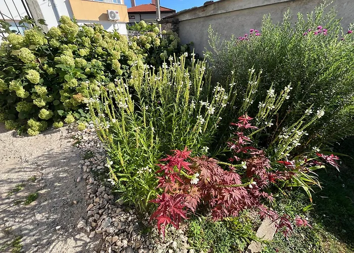 къща христини Guest house 3*