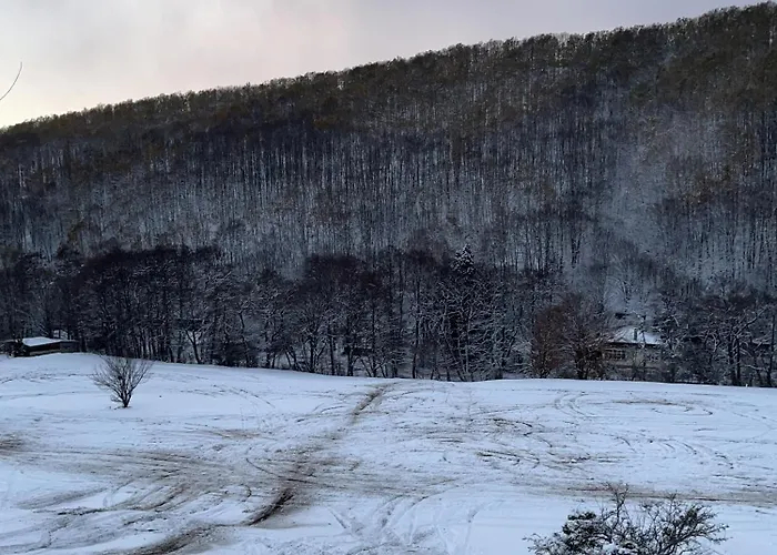 къща христини