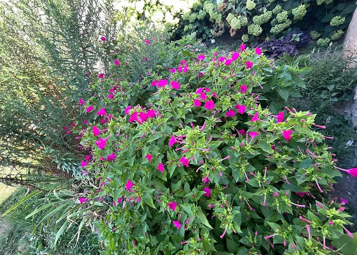 къща христини Kalofer