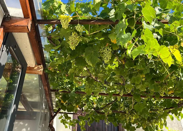 къща христини Guest house 3*